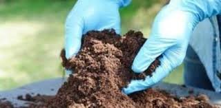 سندھ میں 5ہزار سے زائد جعلی کھادوزرعی ادویات ضبط