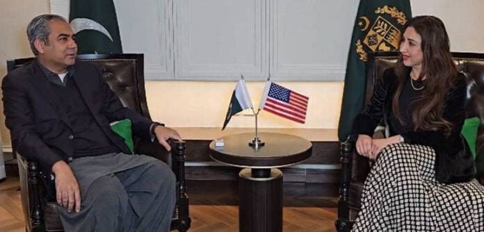 امریکی سرمایہ کاروں کو پاکستان میں سہولتیں فراہم کرنے کی یقین دہانی