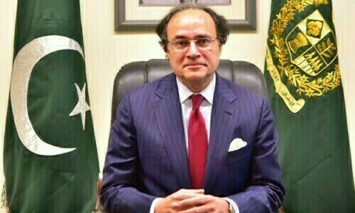 سیلابی صورتحال میں ذخیرہ اندوزی ،منافع خوری نہیں ہونے دیں گے، وزیرخزانہ