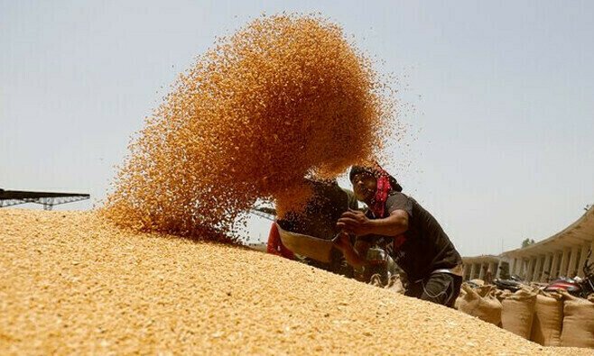 اربوں روپے کی درآمدی گندم خراب، فروخت نہ ہونے کا انکشاف