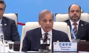 بلوچستان،خیبر پختونخوا دہشت گرد حملوں میں بیرونی ہاتھ ملوث ہیں،شہباز شریف