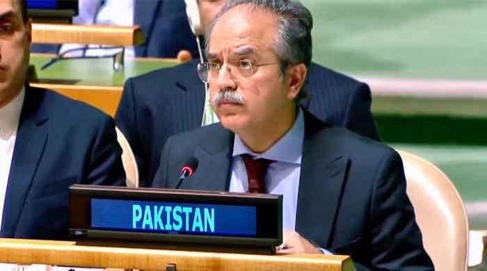 فلسطین اور جموں و کشمیر مسائل حل کیے بغیر امن ممکن نہیں، عاصم افتخار