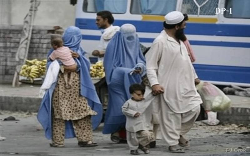 غیرقانونی مقیم افغان باشندوں کی گرفتاری کا حکم،ٹاسک فورس قائم