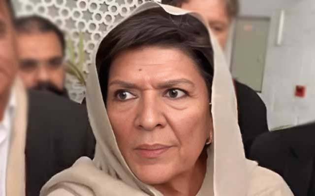 8 فروری کی کال ہمارے الائنس کی ہے عمران خان کی نہیں،علیمہ خانم