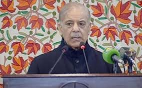 بھارتی کٹھ پتلیوں کا حال انڈین طیاروں کی طرح ہوگا،شہبازشریف