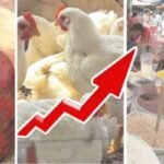 رمضان کا تیسرا ہفتہ، کراچی سمیت ملک بھر میںمہنگائی کا طوفان بے قابو