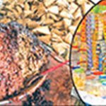 تھانہ قائدآباد کی مبینہ سرپرستی میں گٹکا ماوا کی فروخت عروج پر