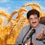 سندھ حکومت کا بڑا فیصلہ،گندم فروخت کی حد ختم، آبادگاروں کو مکمل ریلیف