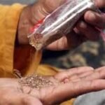 لیاقت آباد میں ماوا گٹکا فروشی عروج پر، ادارے بے بس