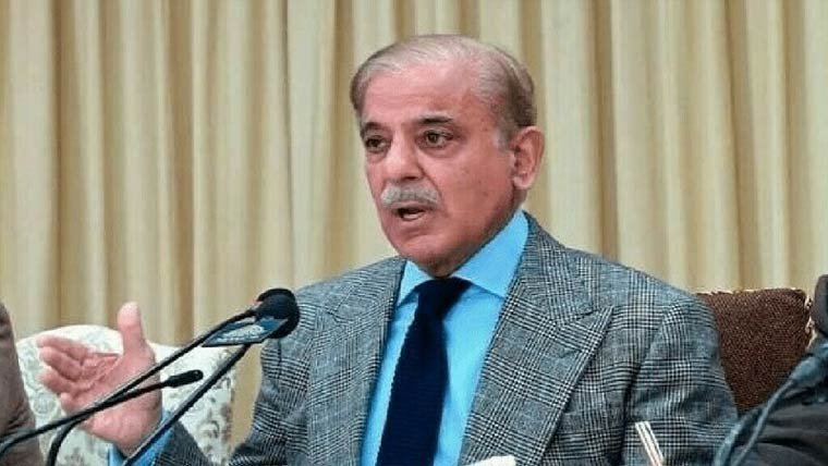 پاک چین دوستی کے درخت کی جڑیں بہت گہری ہیں، شہباز شریف
