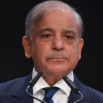 قرض نہیں سرمایہ کاری و ٹیکنالوجی چاہیے، شہباز شریف