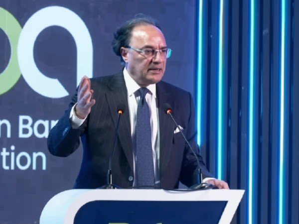 حکومت مزید 28 ریاستی اداروں کی نجکاری کے حوالے سے متحرک ہے، وزیر خزانہ
