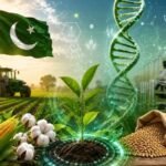 قومی زرعی بائیوٹیکنالوجی پالیسی