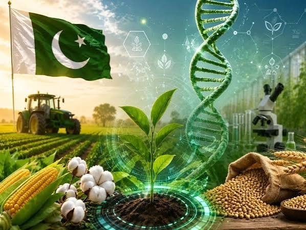 قومی زرعی بائیوٹیکنالوجی پالیسی