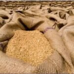 محکمہ خوراک، کراچی کے 5گوداموں سے کروڑوں روپے کی گندم غائب
