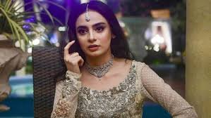 ڈراموں کے اسکرپٹس اے آئی کی مدد سے تیار کیے جا رہے ہیں، مہر بانو کا انکشاف