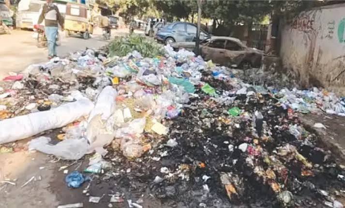 سندھ سالڈ ویسٹ، سندھ سرکار کے کچرا اُٹھانے پر40 ارب 37 کروڑ خرچ