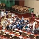 سینیٹ اجلاس، پی ٹی آئی،لیگی اراکین آپس میں الجھ پڑے