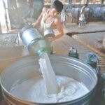 پاکستان دودھ پیدا کرنے والا دنیا کا پانچواں بڑا ملک