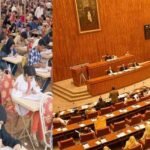سینیٹ کمیٹی، ایم ڈی کیٹ اور میڈیکل داخلہ نظام میں بڑے پیمانے پر اصلاحات کی سفارشات